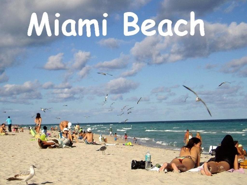 Bikini Lodge (Adults Only) Miami Beach Rum bild